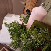 ECD2C03B-6123-4FD9-8799-1B309C7AF554