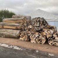 eea1a79a-b7f8-464f-a512-d85630b5e0fe